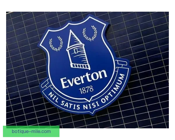 埃弗顿因财务违规两次被扣分 俱乐部面临更严监管和挑战