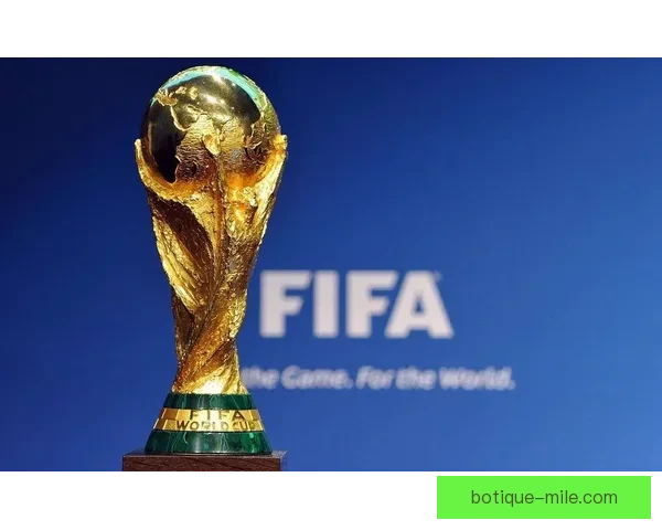国际职业足球运动员联合会呼吁减少跨洲飞行赛程缓解球员身体负担